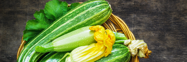 Histaminarme Ernährung: Zucchini im Überblick