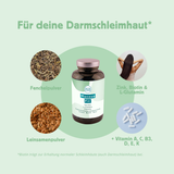 IntestinalFit Set