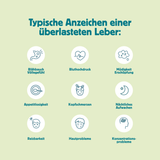 LeberFit-Set