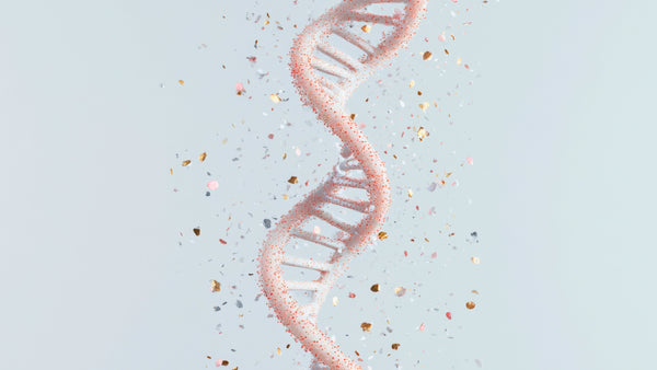 DNA