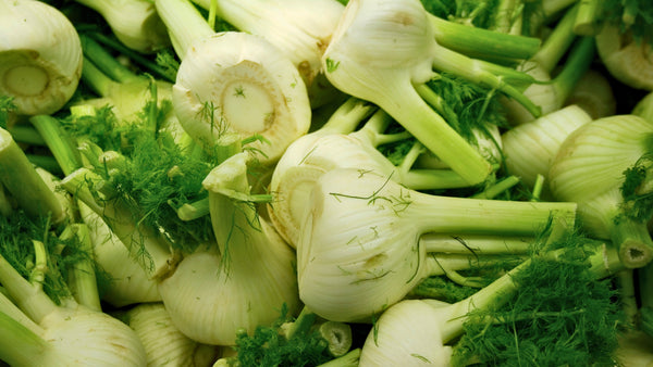 Fenchel-Knollen