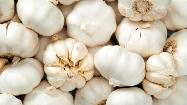 Knoblauch