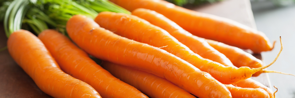 Histaminarme Ernährung: Karotten im Überblick