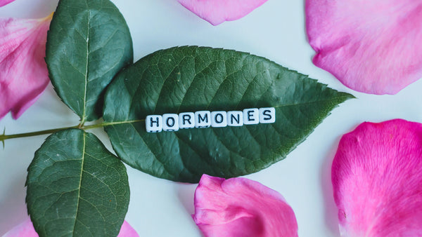 Hormone Schriftzug auf einem Blatt