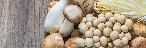 Pilze Kräuterseitlinge Champignons Histamin