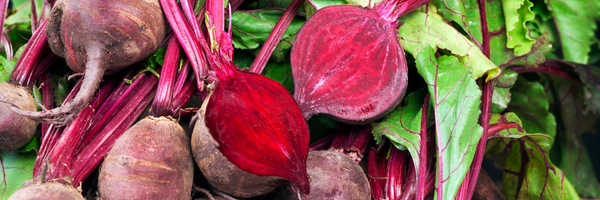 Histaminarme Ernährung: Rote Bete im Überblick