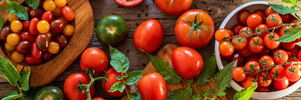 Tomaten und Histamin: Sind Tomaten bei einer histaminarmen Ernährung geeignet?