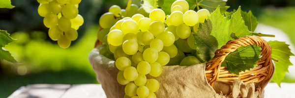 Weintrauben und Histamin: Sind Weintrauben für eine histaminarme Ernährung geeignet?