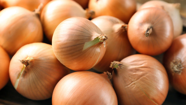 Zwiebeln