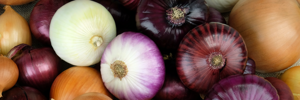 10-12 weiße, rote und braune Zwiebeln in Makroansicht