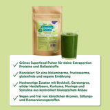 Bio SmoothiePulver