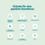 DarmFit-Set